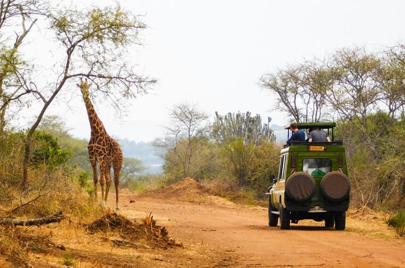 safari-lua-mel lua de mel safari estudio de viagens africa tanzania zanzibar